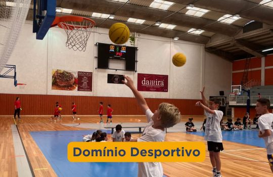 Domínio Desportivo