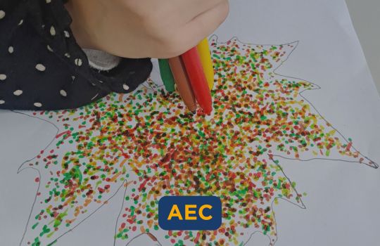 AEC - Cooperativa ME